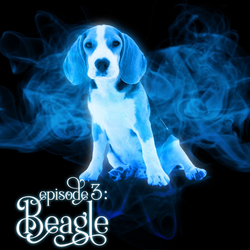 Season 1, Episode 3: Beagle