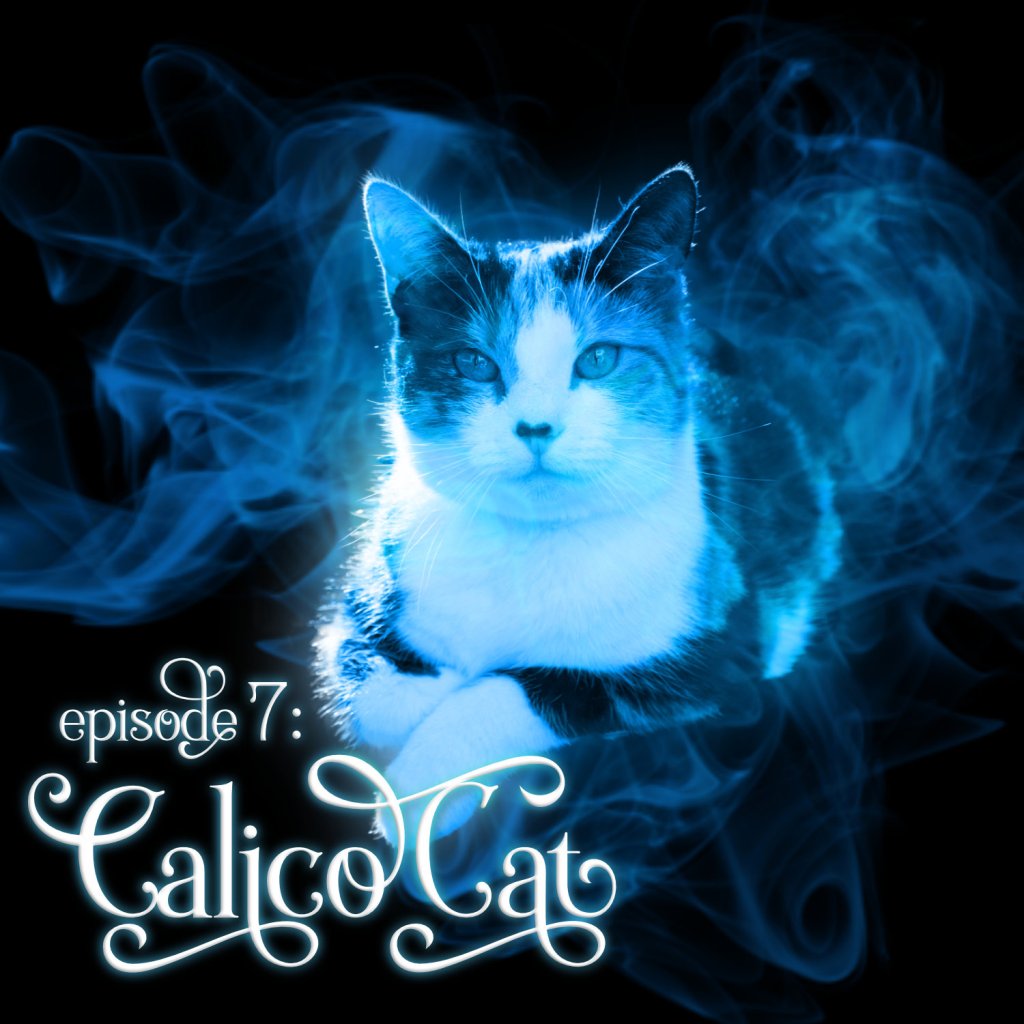 Season 1, Episode 7: Calico Cat