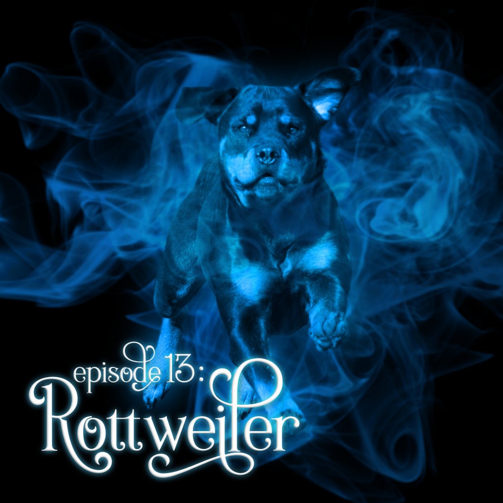 Season 1, Episode 13: Rottweiler